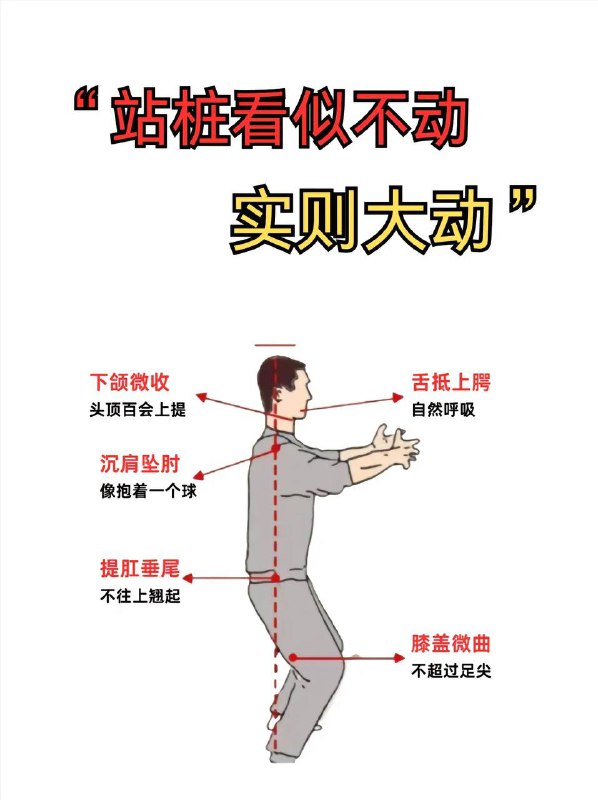 站桩站桩